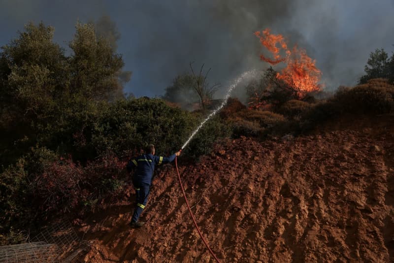 山火事、アテネに迫る　民家多数焼失