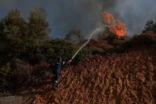 山火事、アテネに迫る　民家多数焼失