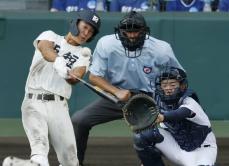 西日本短大付13―0菰野　西日本短大付が快勝