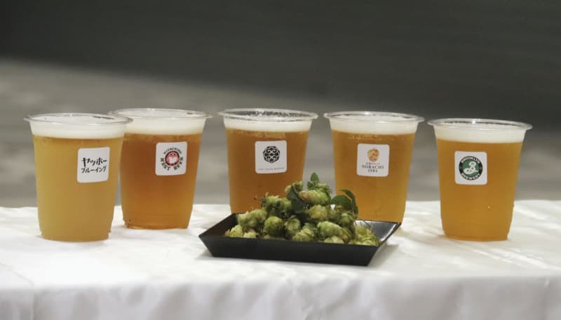 ビール5社が羽田で限定イベント　国産ホップの魅力アピール