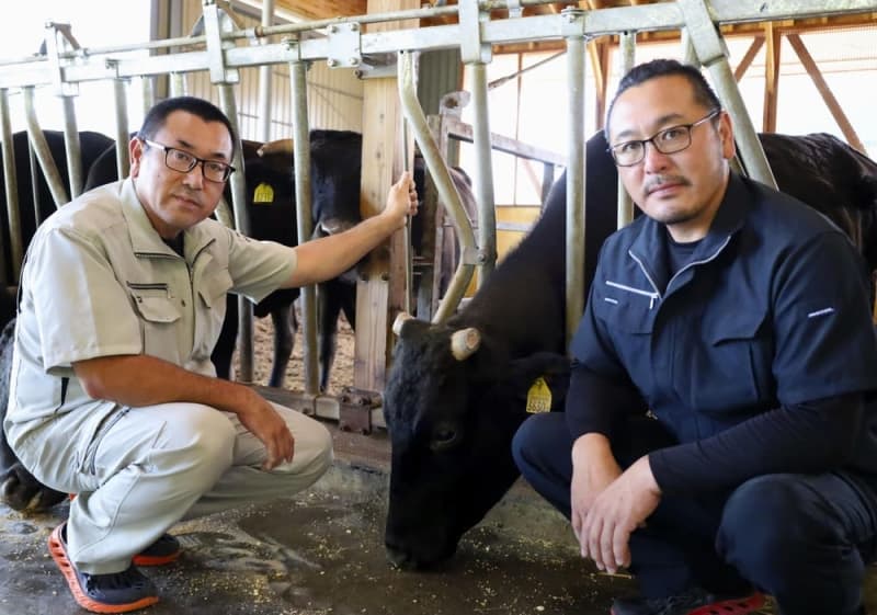 そば粉を食べて育った新ブランド和牛　北海道・幌加内、生産から販売まで一貫