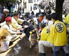 上げ馬神事で書類送検へ　虐待疑い、愛護団体告発