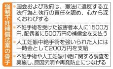 強制不妊「国のおわび」明記　訴訟外被害者の補償法案