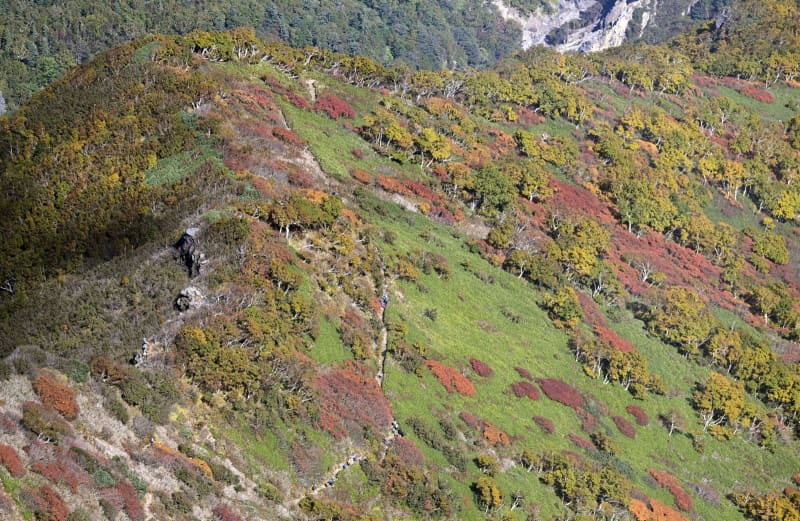 大雪山系黒岳で紅葉見頃　山肌、色鮮やかに染まる