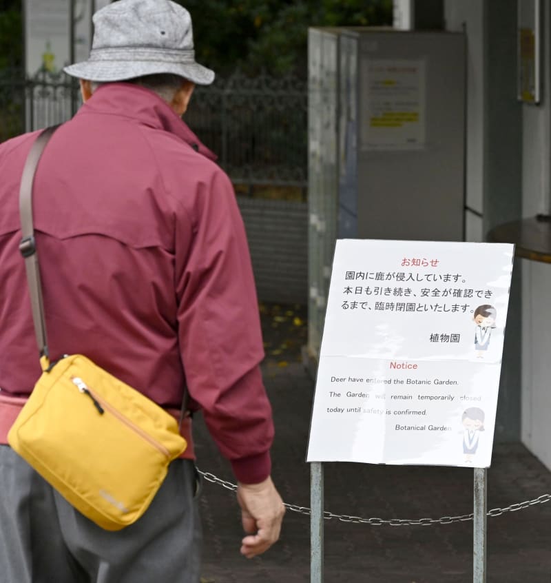 シカが侵入、北大植物園休園　1日から、市街地出没も