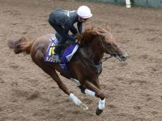 ダノンデサイル、2冠へ良好　競馬の菊花賞追い切り