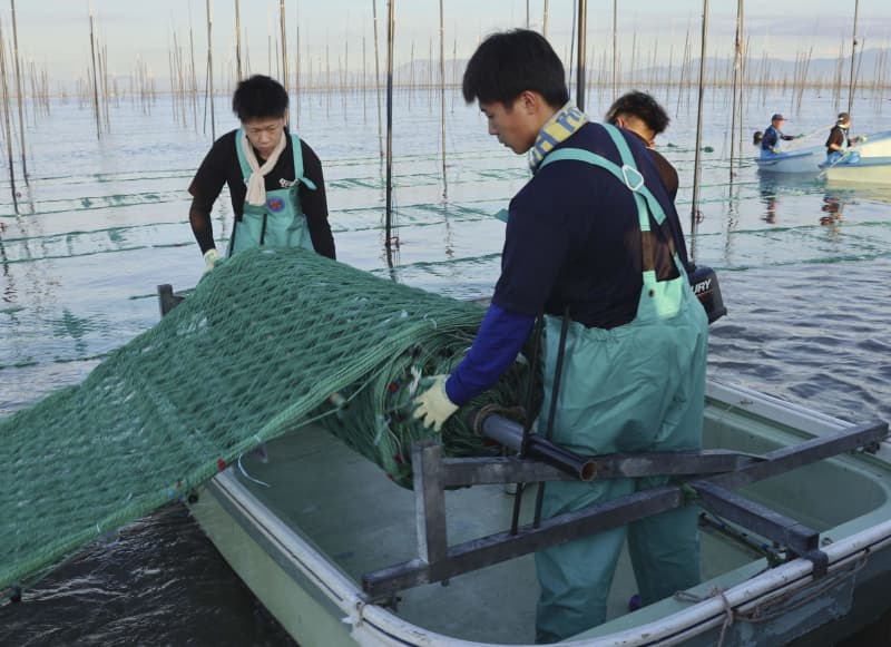 晴天の下、有明ノリの種付け　佐賀、首位奪還を目指す