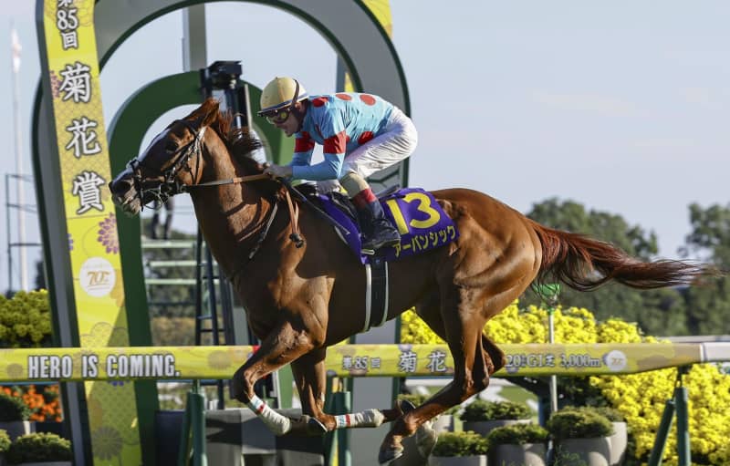 2番人気のアーバンシックが優勝　競馬の菊花賞、G1初制覇