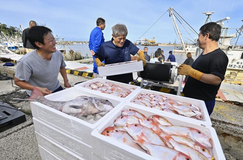 輪島港、地震後初の魚出荷　「やっとここまで来た」