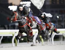 大井競馬場で相馬野馬追　騎馬武者、勇壮に疾走