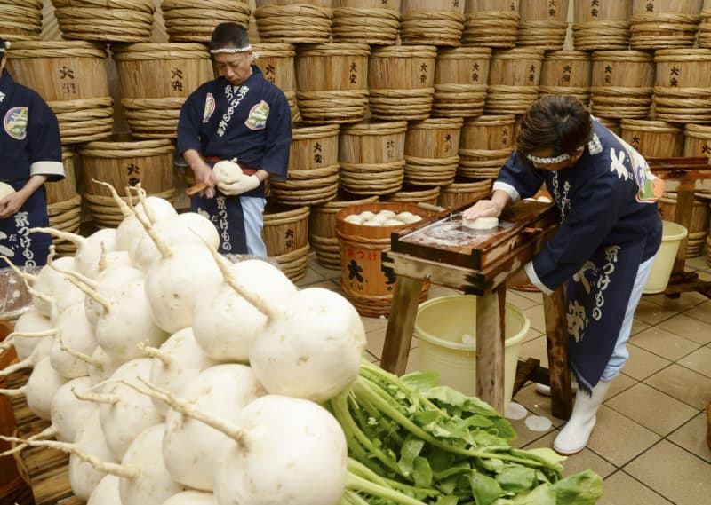 「千枚漬」仕込み本格化、京都　冬の味覚、老舗が作業公開