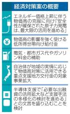 物価高克服に原発「最大限」活用　経済対策案、低所得世帯に給付金