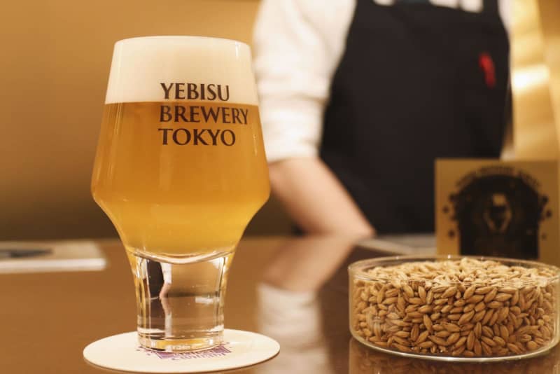 環境に優しい大麦麦芽のビール　サッポロ販売、1杯1200円