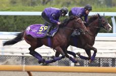 必勝期すドウデュース　競馬のジャパンC追い切り