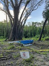 激戦地ペリリュー島に集団埋葬地　遺骨7柱発見、発掘加速へ