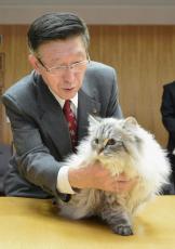 プーチン氏寄贈の猫死ぬ　秋田知事飼育の「平和」