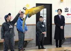 秋篠宮さま、日本平動物園を視察　静岡、インコに笑顔で手を振る