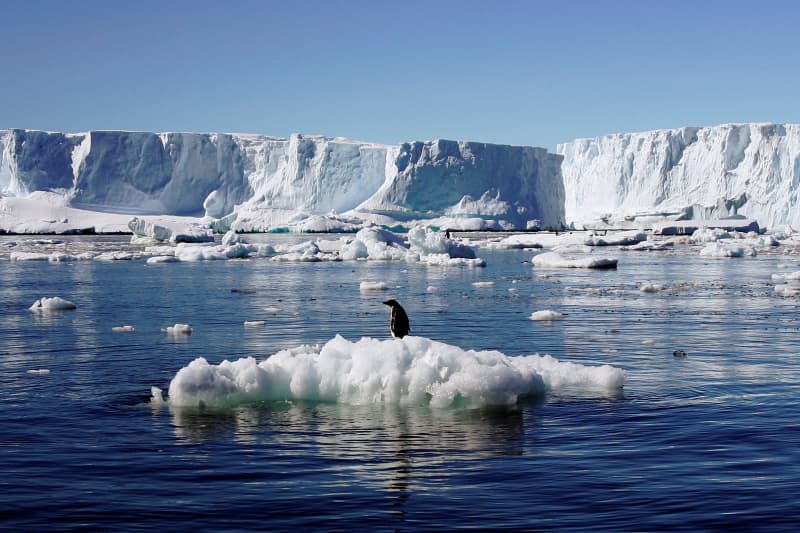 南極の海氷、温暖化で25％消失　2100年、海洋研究機構が試算