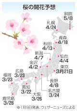 桜、東京から開花の予想　西―東日本で平年並みか