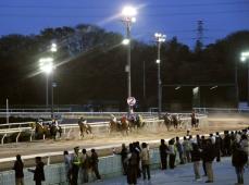 訓練中に落馬し、男性意識不明　兵庫・園田競馬場で馬同士が衝突