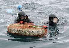 海女と鵜飼い、無形文化遺産に　伝統漁法、登録へ活動開始