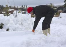 仮設住宅で雪かき追われ、石川　積もった重みに不安