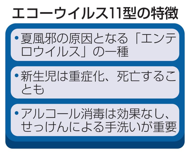 夏風邪で新生児3人死亡、東京　エコーウイルス11型に感染