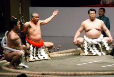 レア 最後の土俵入り 初代若乃花 昭和37年9月 太刀持ち 大鵬