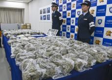 乾燥大麻31キロ密輸疑いで逮捕　関空で過去最多、ベトナムの2人