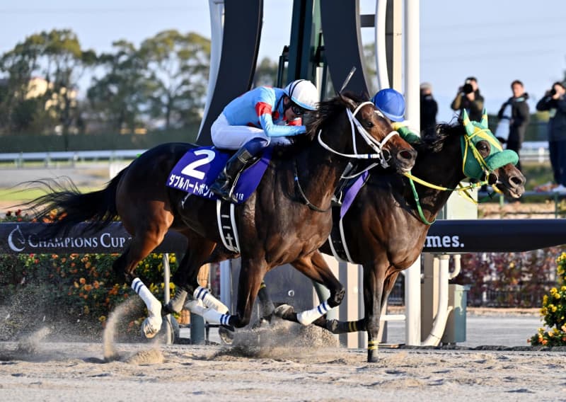 ダブルハートボンドが優勝 競馬のG1チャンピオンズカップ｜Infoseek