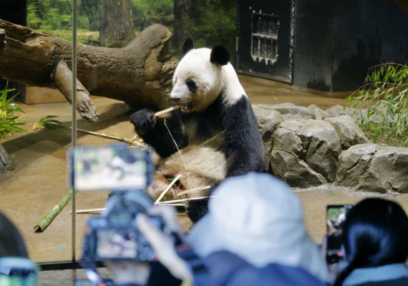 パンダファン行列「さみしい」 上野動物園、返還発表後初の開園