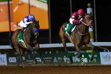 フォーエバーヤングが2連覇 競馬のサウジカップ｜Infoseekニュース