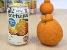 規格外かんきつで酎ハイ キリン、熊本の農家支援｜Infoseekニュース