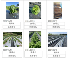 日本国内トップのバジル生産地大分県国見町で農業管理システム「KUNIMIX　CLOUD」を本格的に提供開始