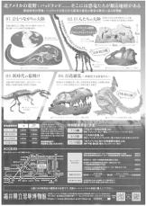 恐竜発掘の聖地、北アメリカ「バッドランド」に迫る特別展、福井県立恐竜博物館で開催！