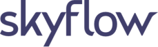 電通ベンチャーズ、データ/AIプライバシーの処理基盤を提供する米国「Skyflow社」に出資