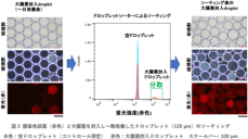 バイオものづくりを支える微生物探索のための基盤技術を開発