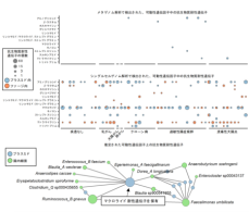 ヒト常在菌の個別解析、新時代へ