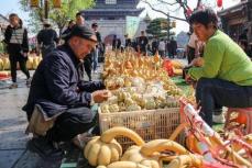 第16回China Jiangbei Watertown and Pearl of Two Rivers (Liaocheng) Gourd Culture Art Festivalが開催