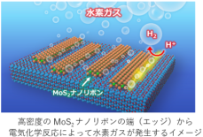 水素発生と半導体応用を兼ね備えた二次元半導体ナノリボンを実現