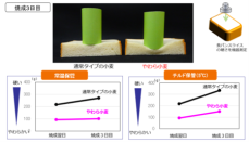 “作りたてのような食感”が長持ちする国内産小麦 「やわら小麦」®に関するお知らせ