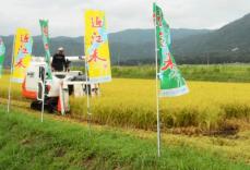 「ハナエチゼン」はや刈り取り　猛暑も早場米の生育順調