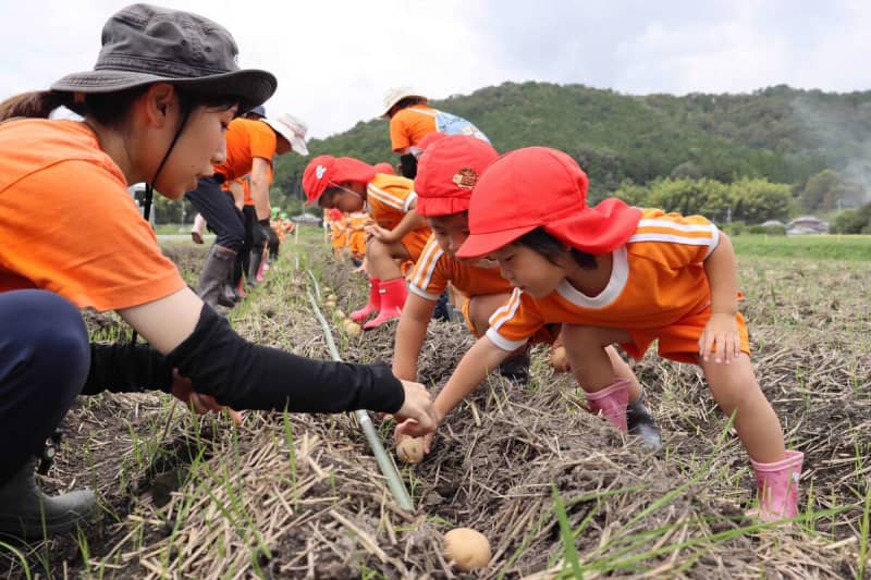 「ジャガイモ、大きくなーれ」　亀岡の保育園児が農場で植え付け体験