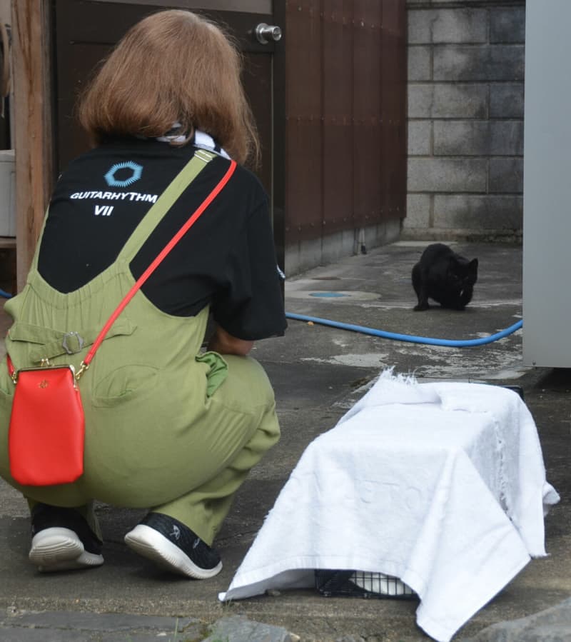 「不幸な猫を減らしたい」京都府でネットワーク発足　野良猫の不妊・去勢手術進める