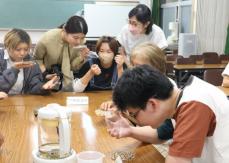 京都の高校生「葛根湯」づくりに挑戦　慣れない香りに苦戦、複数の生薬混ぜ完成