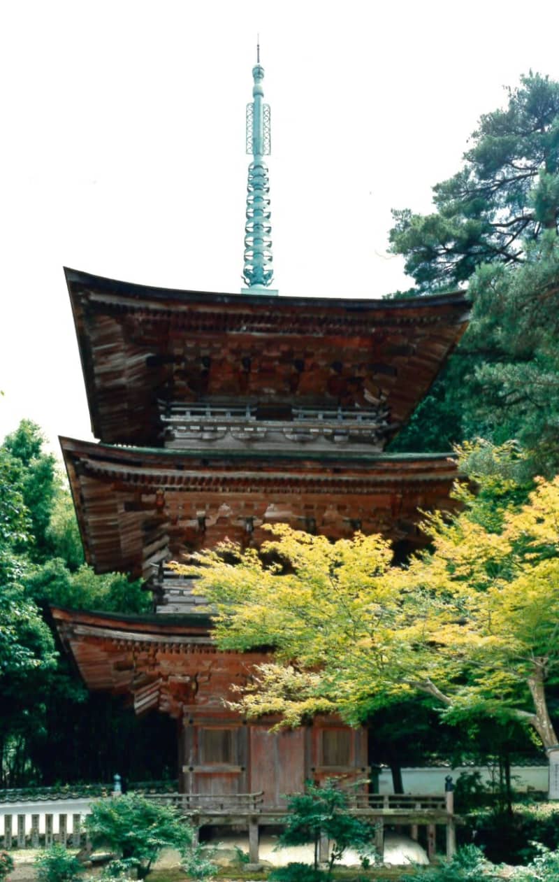 近江・京極家の菩提寺の三重塔、こけらぶきのふき替え作業見学できます