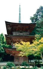 近江・京極家の菩提寺の三重塔、こけらぶきのふき替え作業見学できます