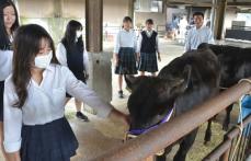 「和牛甲子園」でテッペンへ　京都と滋賀の農業高校がタッグ、研修会で切磋琢磨