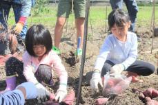 親子でわくわく、サツマイモ収穫　京都・南丹で「自然塾」、スポーツ体験も