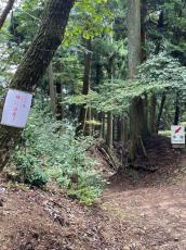 京都市の神社参道でスズメバチ被害相次ぐ　幼児ら刺される　市が注意喚起怠り、被害拡大